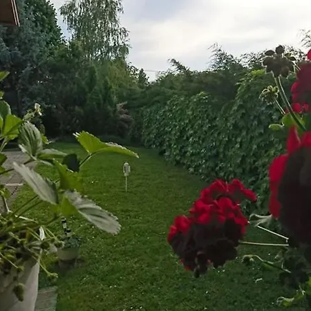 Homestay Liliana Vendeghaz Balatonfuzfo