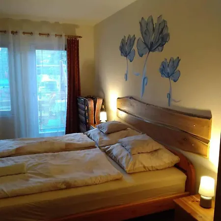 Liliana Vendeghaz Homestay