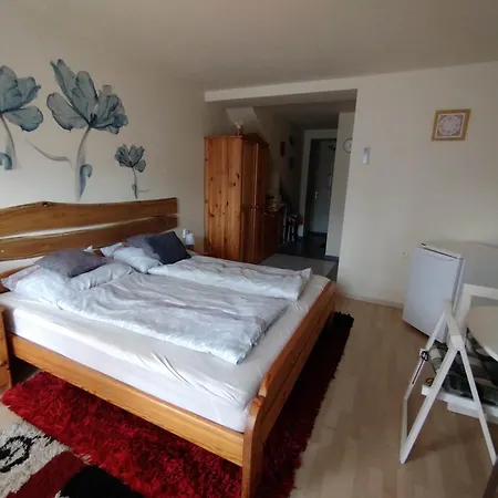 Liliana Vendeghaz Homestay