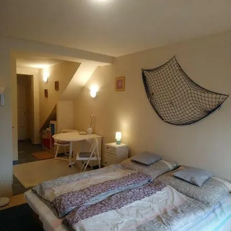 Liliana Vendeghaz Homestay Balatonfuzfo