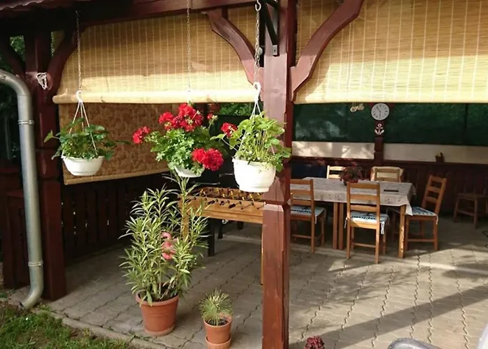 בית אירוח Liliana Vendeghaz *