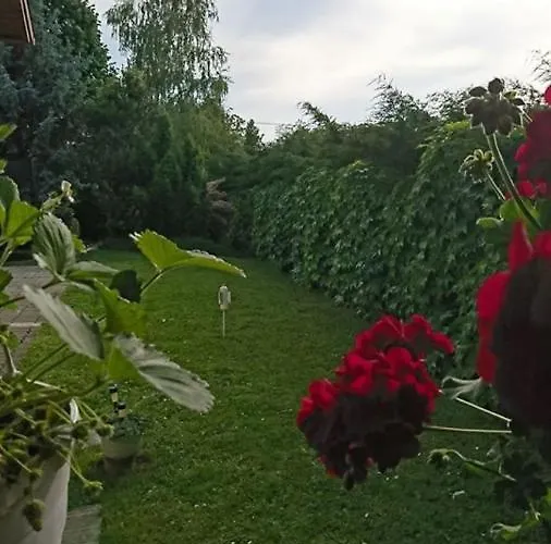 בית אירוח Liliana Vendeghaz Balatonfůzfő